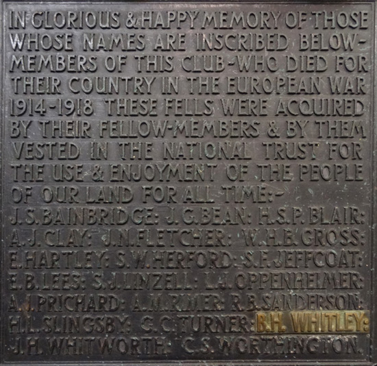 plaque