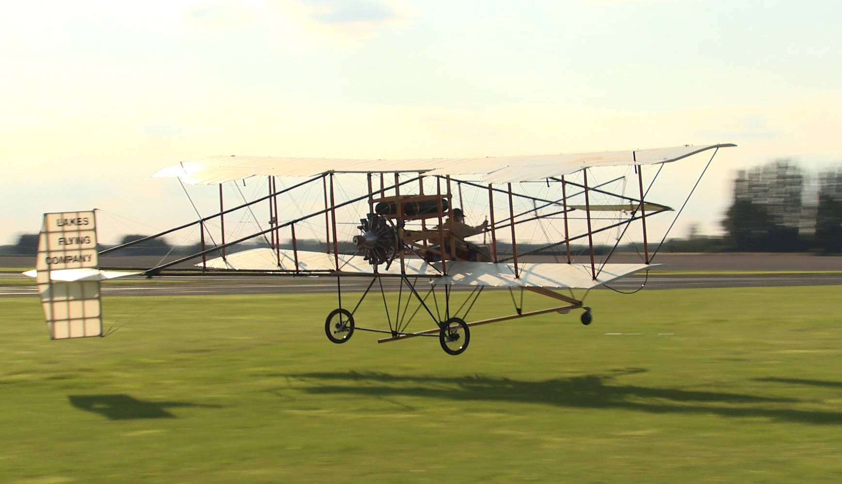 REPLICA WATERBIRD IN FLIGHT Replica Waterbird