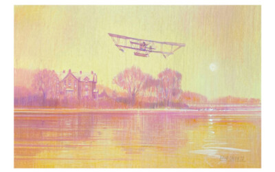 Donation of Waterhen picture