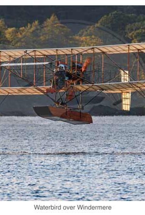 Waterbird Over Windermere