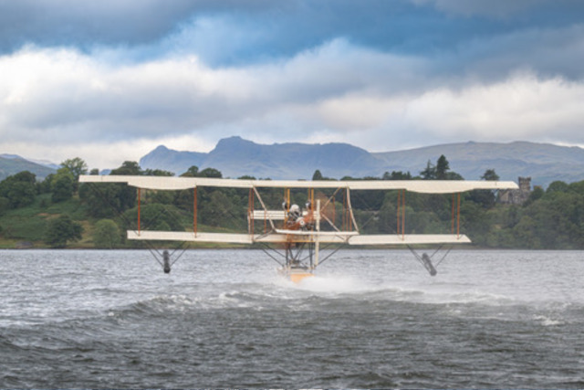 Waterbird over windermere